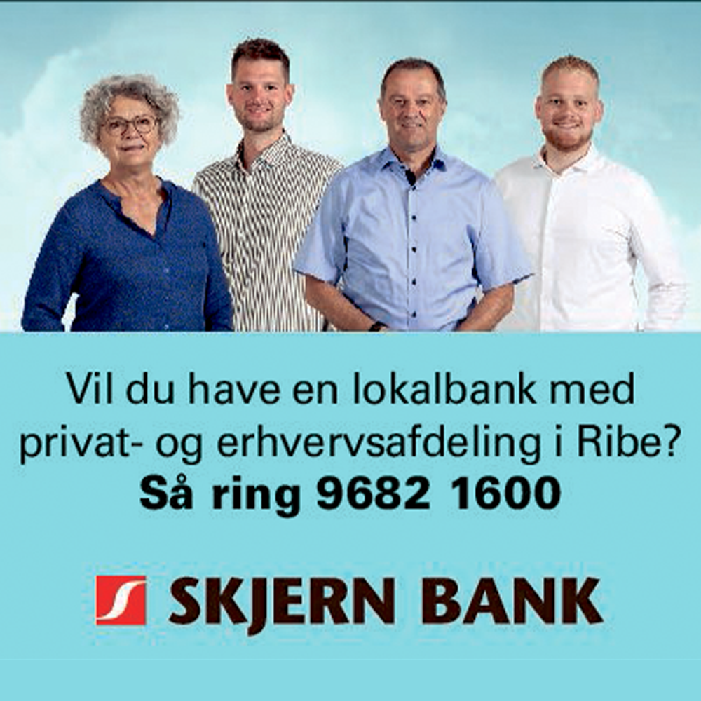 Skjern bank